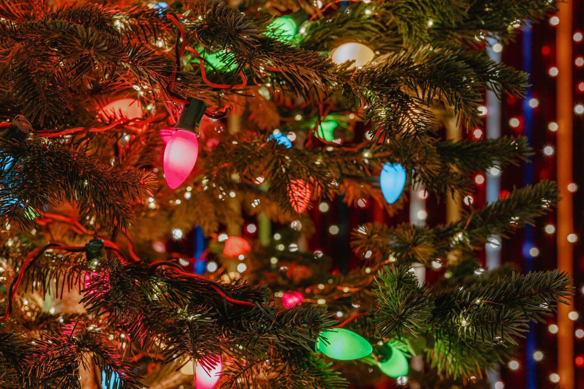 christmas-2025-tree