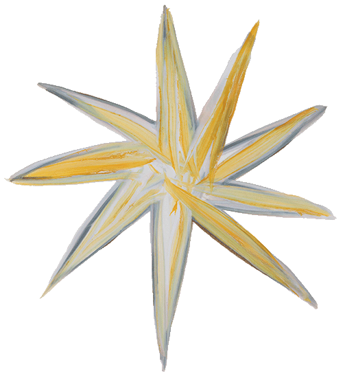 All Souls Christmas Star 1