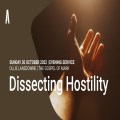 Dissecting Hostility