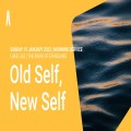 Old Self, New Self