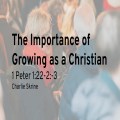 Christian Growth: the Only Way to Do It